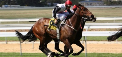 $100,000 Locust Grove Features Four Graded Stakes Winners