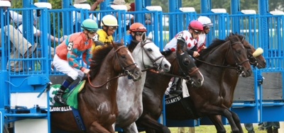 $100,000 New York Stallion Stakes Draws Field of Seven