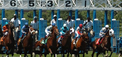 $100,000 Punkin Pie Stakes Draws Competitive Field of Eight