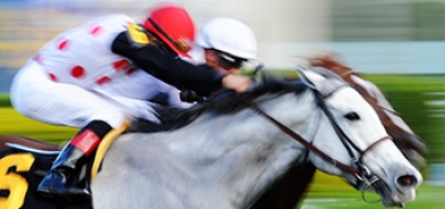 $200,000 Nijinsky Stakes Draws Competitive Field of Ten