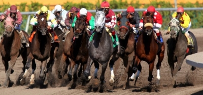$50,000 Golden Beach Handicap Draws Field of Ten