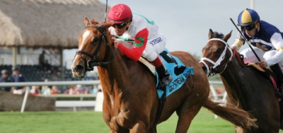 $60,000 Cutler Bay Stakes Draws Wide Open Field of Nine