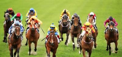Belmont Oaks Has International Appeal