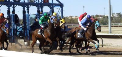 Ben's Cat Tops a Field of Ten in the $200,000 Parx Dash Handicap