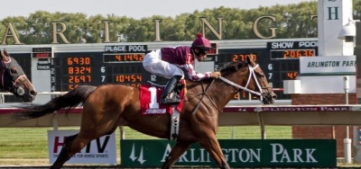 Classy Veterans Knock Heads in Grade 3 Hanshin Cup