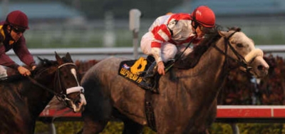 Compact, but Talented Field to Contest Grade 2 Swale