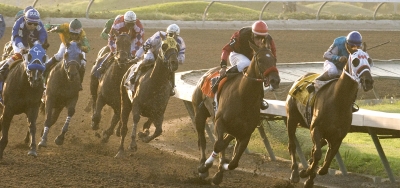 Doug O'Neill Has Loaded Pair in $75,000 Summer Juvenile Championship Stakes