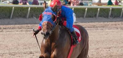 Eleven to Battle in Wood Memorial