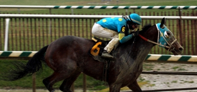 Eloquent Tribute Tops Field for $100,000 Marshua Stakes