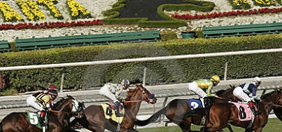 Full Field of 13 Set for Grade 3 Providencia