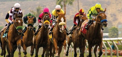 Full Field of Eleven Set for $100,000 Red Carpet Handicap