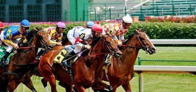 Grade 1 Alcibiades a Distance Test for Young Fillies