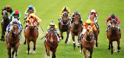 Grade 2  Baruch Draws Seven