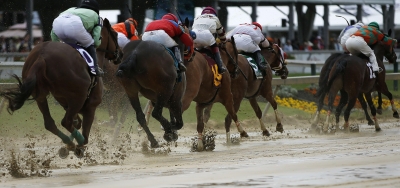 Luminance Taking on Eight in $250,000 Black Eyed Susan Stakes