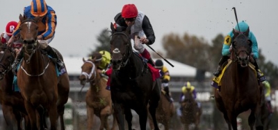 Miss Matzoball Going for Third Straight in Wide Open $100,000 Giant's Causeway Stakes