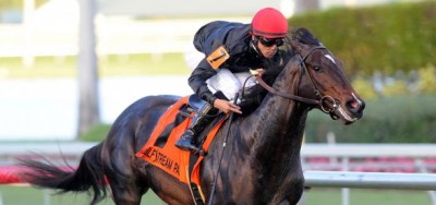 Mr. Speaker Headlines Loaded Field for $500,000 Hill Prince