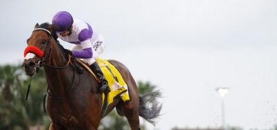 Nyquist Heading to the Preakness Stakes Undefeated