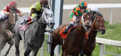 Plenty of Value in $100,000 Chick Lang Stakes