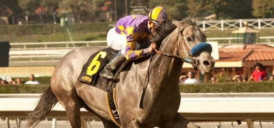 Salutos Amigos Tops Field of Six in $200,000 Palos Verdes Stake