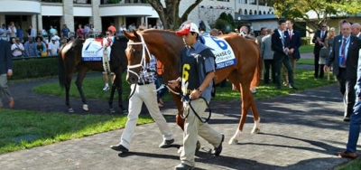 Sapphire Kitten Looks to Shine in $100,000 Sweetest Chant Stakes
