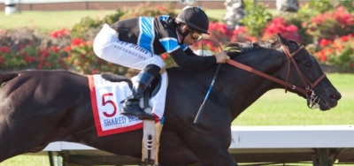 Shared Belief Headlines Large Field for $1 Million Santa Anita Handicap