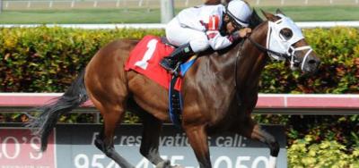 Strong Field Ready For Gulfstream Sprint Stakes