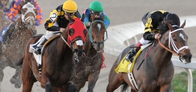 Ten Fillies Line Up for Grade 1 Las Virgenes Stakes