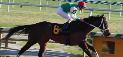 Three Star Fillies Set to Square Off in $500,000 Ashland Stakes