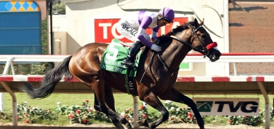 Undefeated Nyquist Going For Third Straight in $300,000 Del Mar Futurity