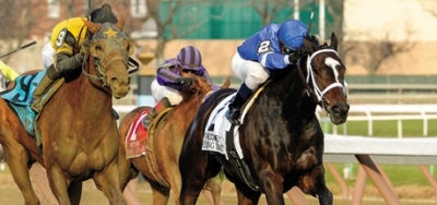 Wedding Toast Back in Action in $60,000 Miami Shore Handicap